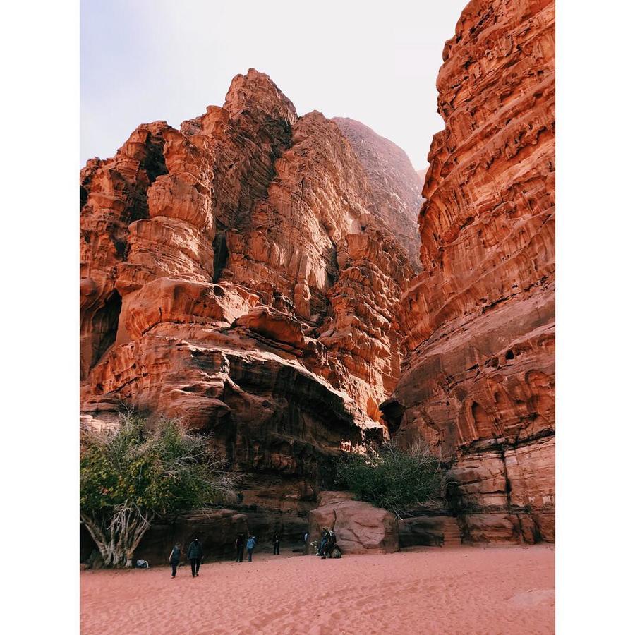 Wadi Rum Light Camp エクステリア 写真
